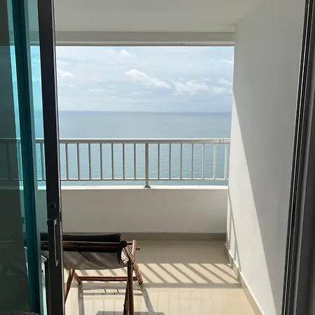 Palmetto Superior 3901 Cartagena