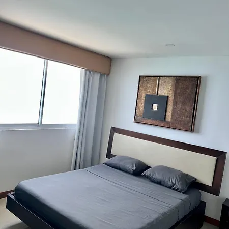 Palmetto Superior 3901 Cartagena