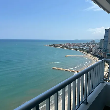 Palmetto Superior 3901 Cartagena