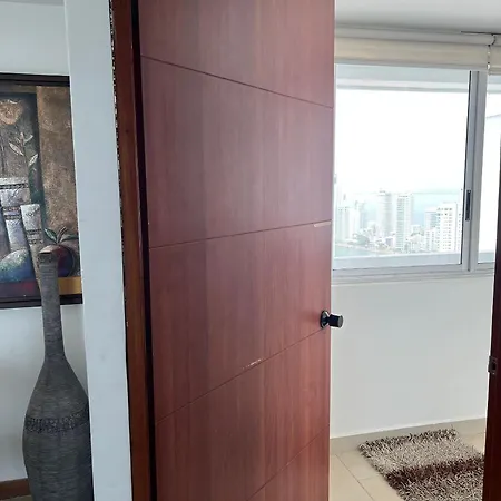 Palmetto Superior 3901 Cartagena