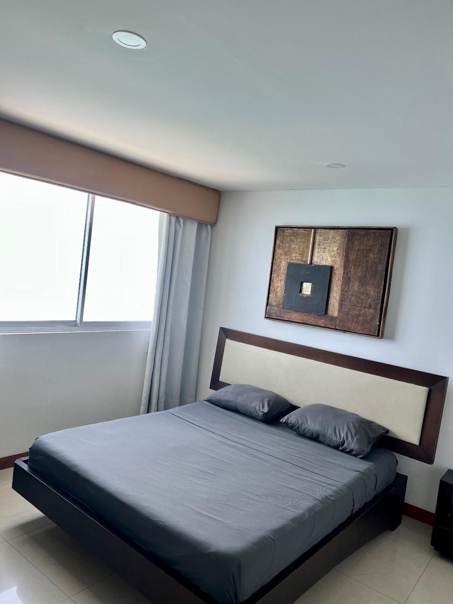 Palmetto Superior 3901 Cartagena