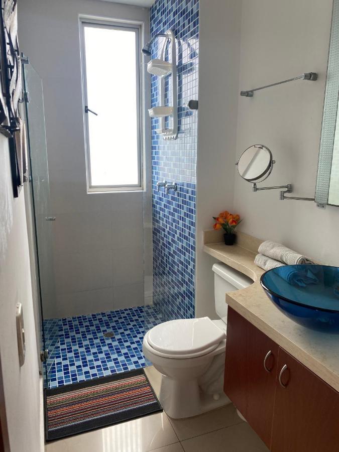 Palmetto Superior 3901 *