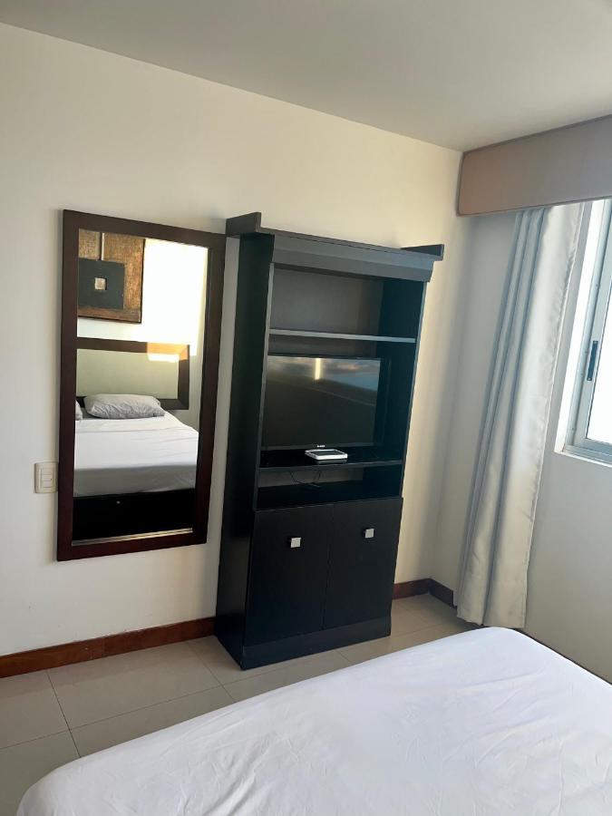 Palmetto Superior 3901