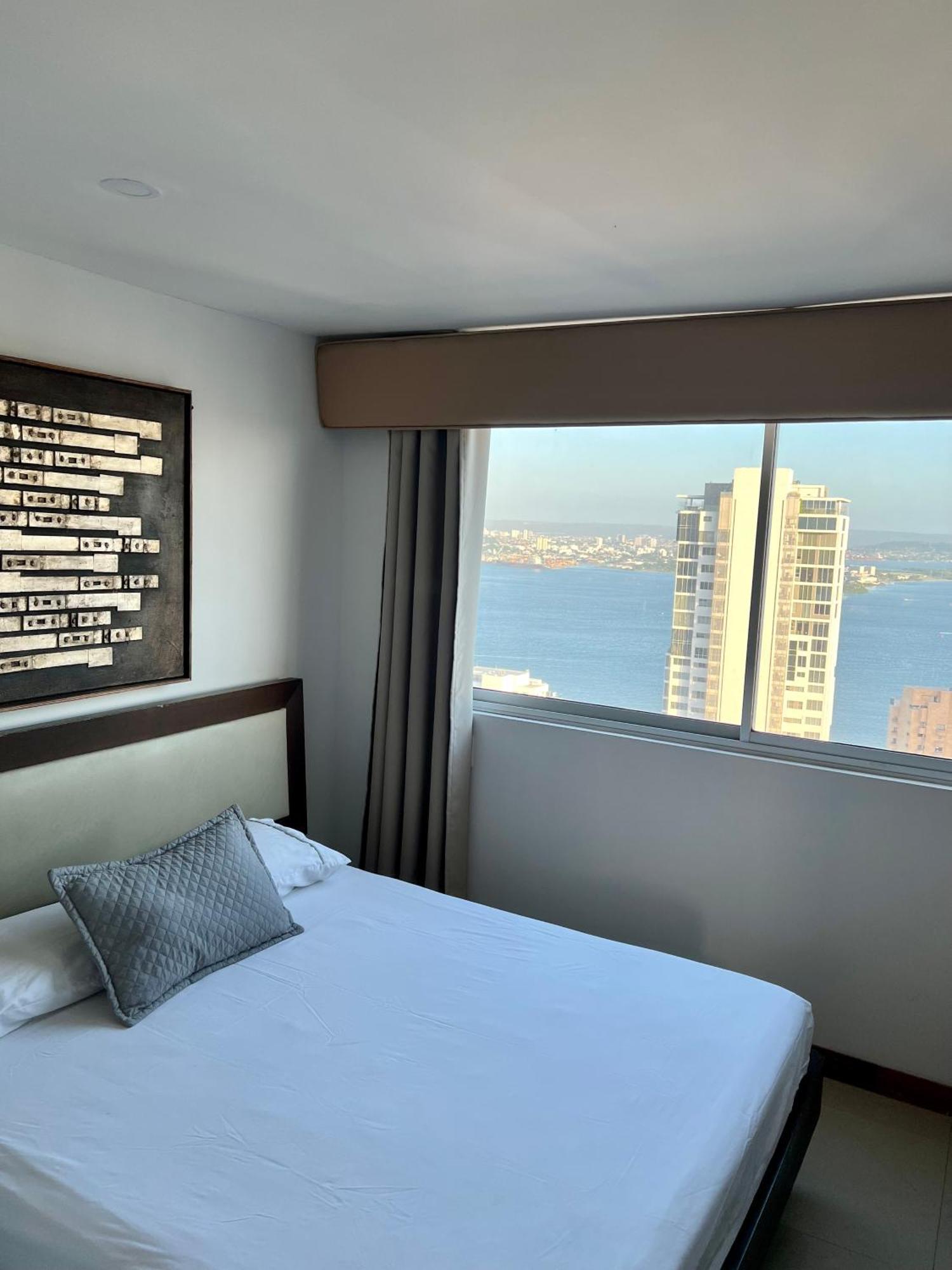 Palmetto Superior 3901 * Cartagena