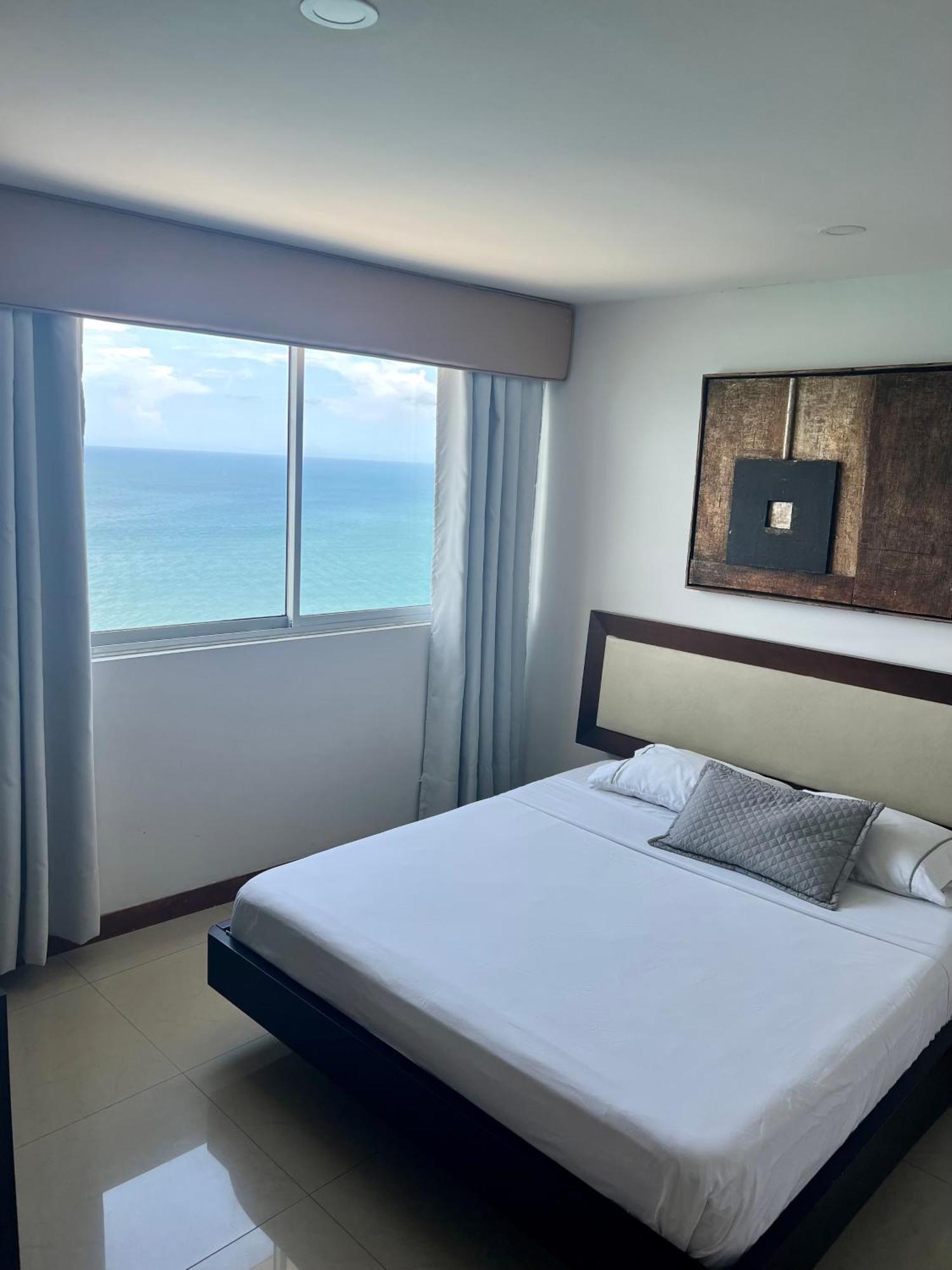 Palmetto Superior 3901 * Cartagena