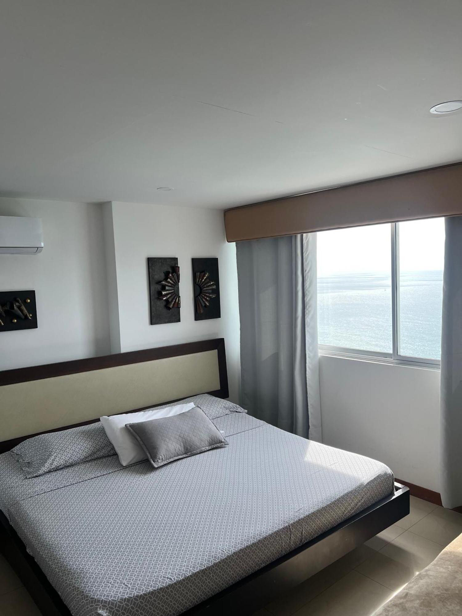 Palmetto Superior 3901 *