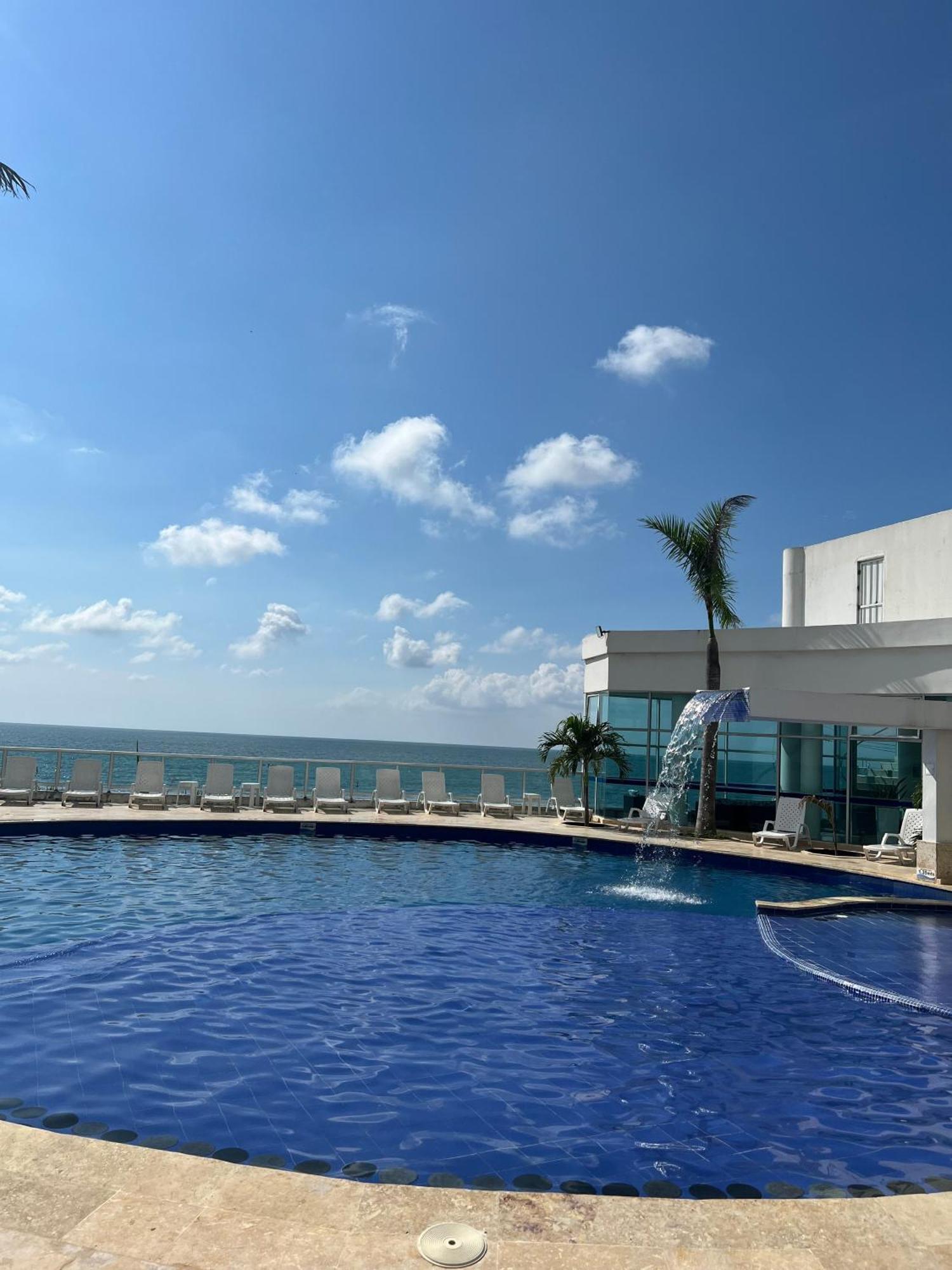 Palmetto Superior 3901 Cartagena